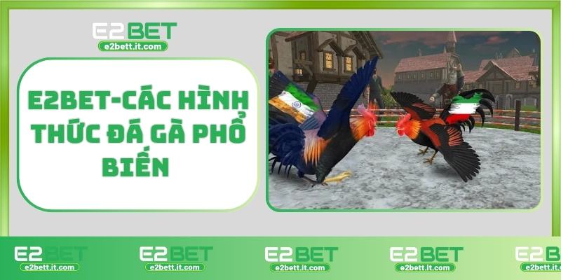 Đá Gà E2BET – Trực Tiếp Kịch Tính, Cá Cược Hấp Dẫn Từng Giây E2BET-Các hình thức đá gà phổ biến