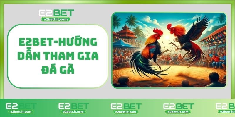 Đá Gà E2BET – Trực Tiếp Kịch Tính, Cá Cược Hấp Dẫn Từng Giây E2BET-Hướng dẫn tham gia đá gà