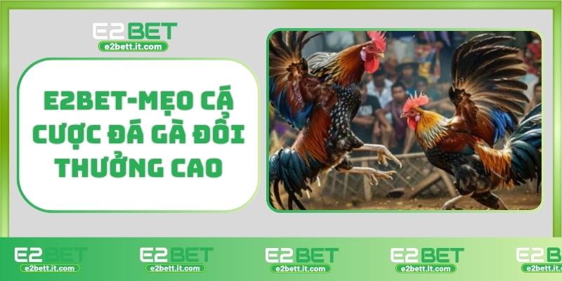 Đá Gà E2BET – Trực Tiếp Kịch Tính, Cá Cược Hấp Dẫn Từng Giây E2BET-Mẹo cá cược đá gà đổi thưởng cao