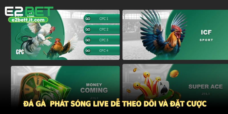 E2BET 🎖️ Link Chính Thức Trang Chủ E2BET.COM | Đăng Ký Thưởng +88K Đá gà phát sóng live dễ theo dõi và đặt cược